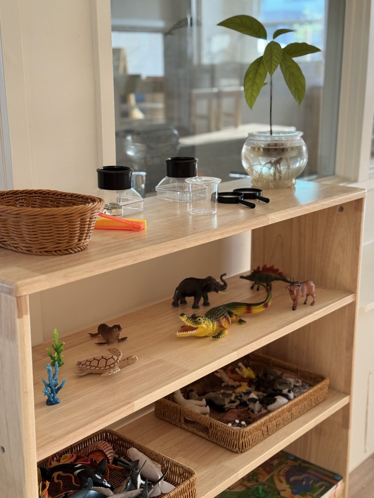 Low-level open shelf with toys in a play area